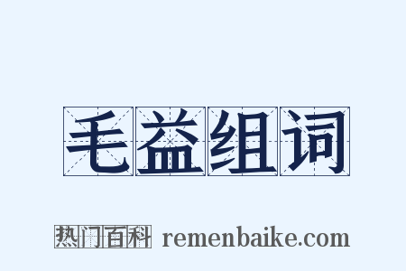 毛益组词是什么意思的图片